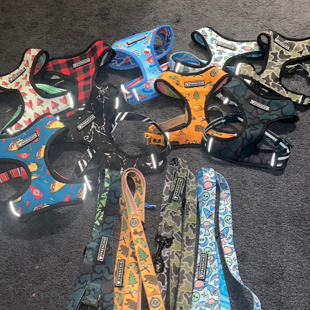Frenchie reversible harnesses